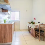 Matko * Ζαντάρ